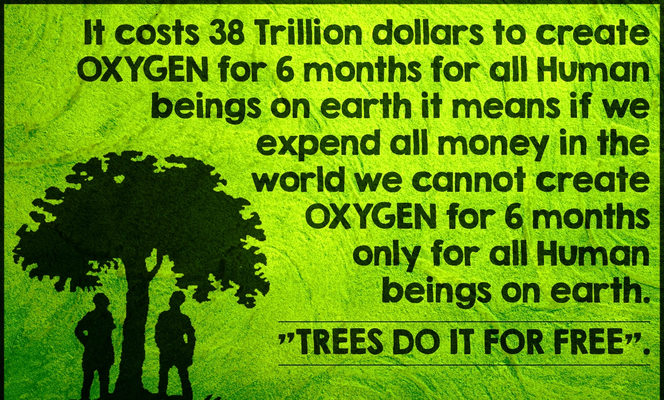 Save wood Save Earth